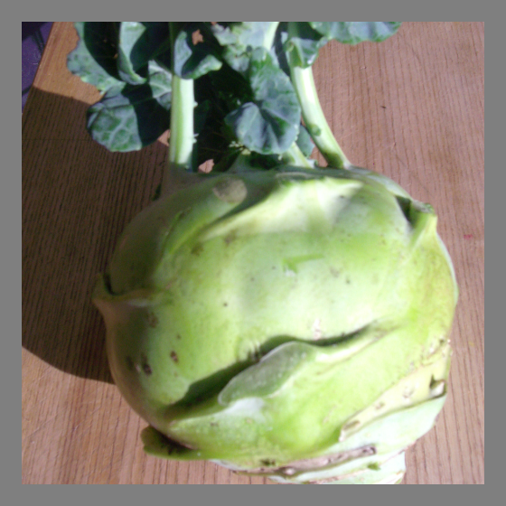 Kohlrabi Superschmelz
