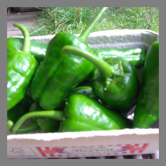 Pimientos